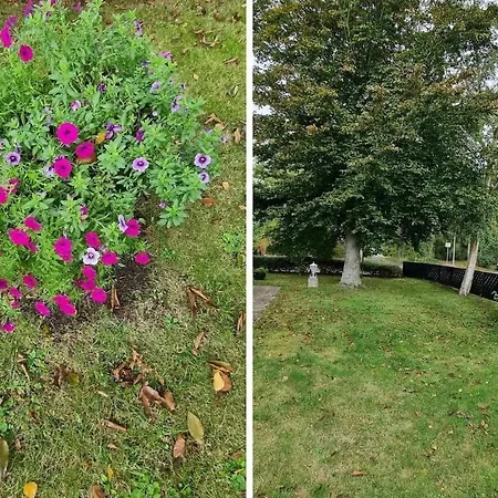 Ferienwohnung-ria Appartement Olsdorf (Nordfriesland)